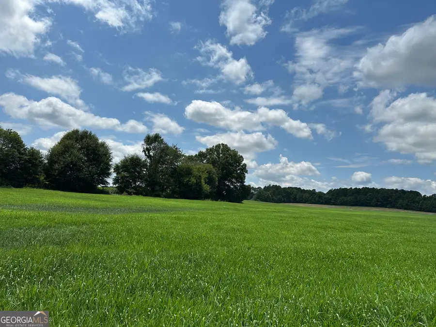 0 Taylorsville Macedonia/miller Farm Road, Taylorsville, GA 30178 - Image #3