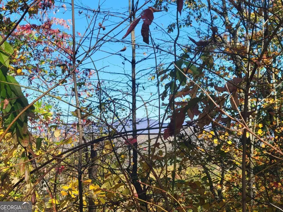 14 AC Old Burnt Mountain, Ellijay, GA 30540 - #3