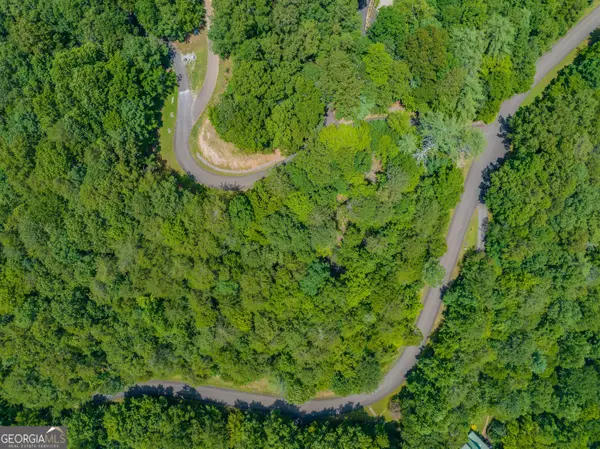 4.7AC Mountain Creek Hollow Drive, Talking Rock, GA 30175