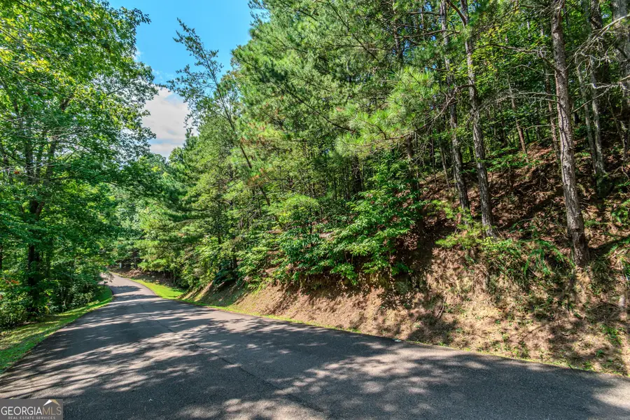 4.7AC Mountain Creek Hollow Drive, Talking Rock, GA 30175 - #3