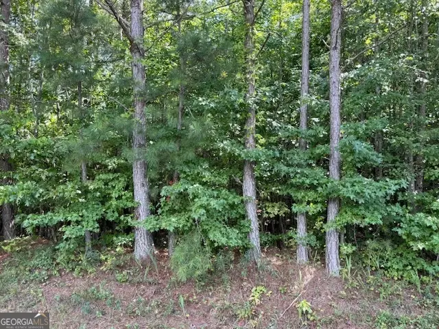 TK 10 Old Ridgeway Road, Bremen, GA 30110 - Image #2