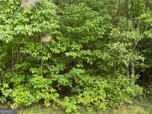 TK 10 Old Ridgeway Road, Bremen, GA 30110 - Image #3