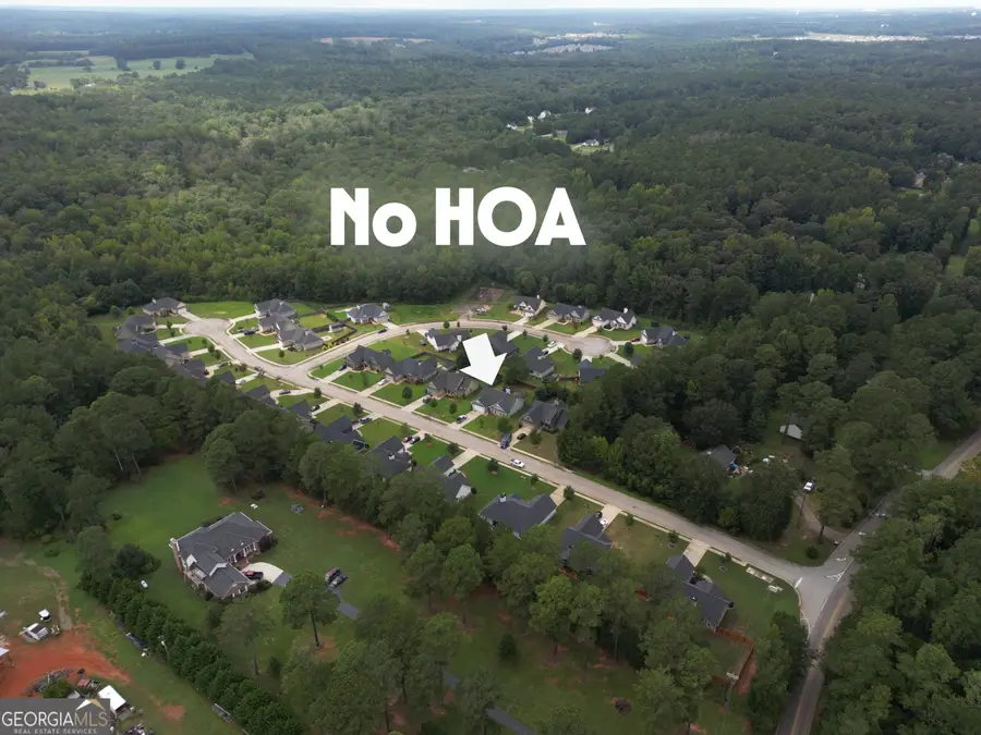 107 Coulter Woods Drive, Locust Grove, GA 30248 - Image #2