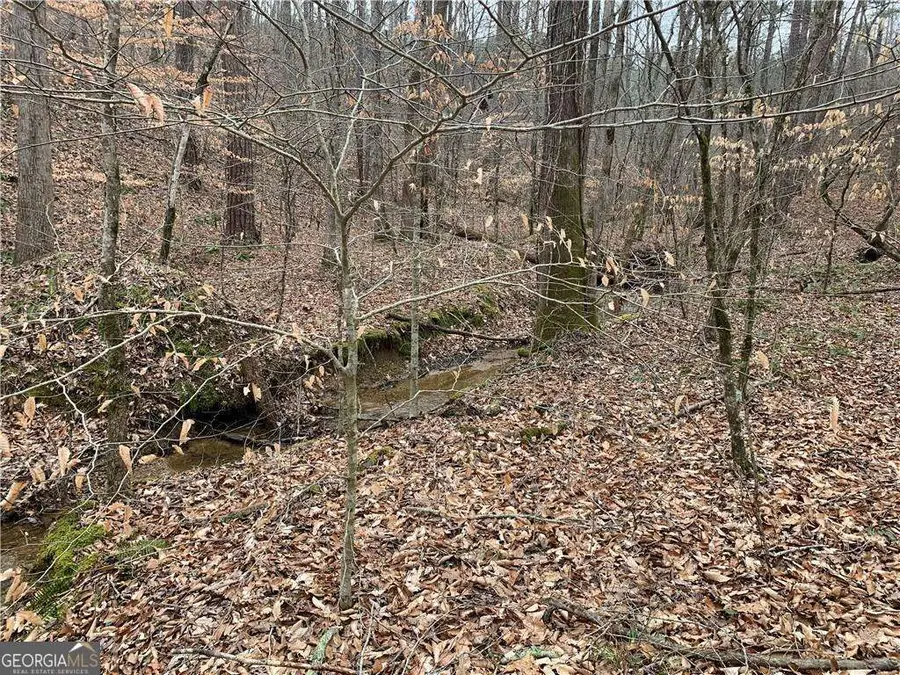 729 Marque Lane Ne, Ranger, GA 30734 - Image #2