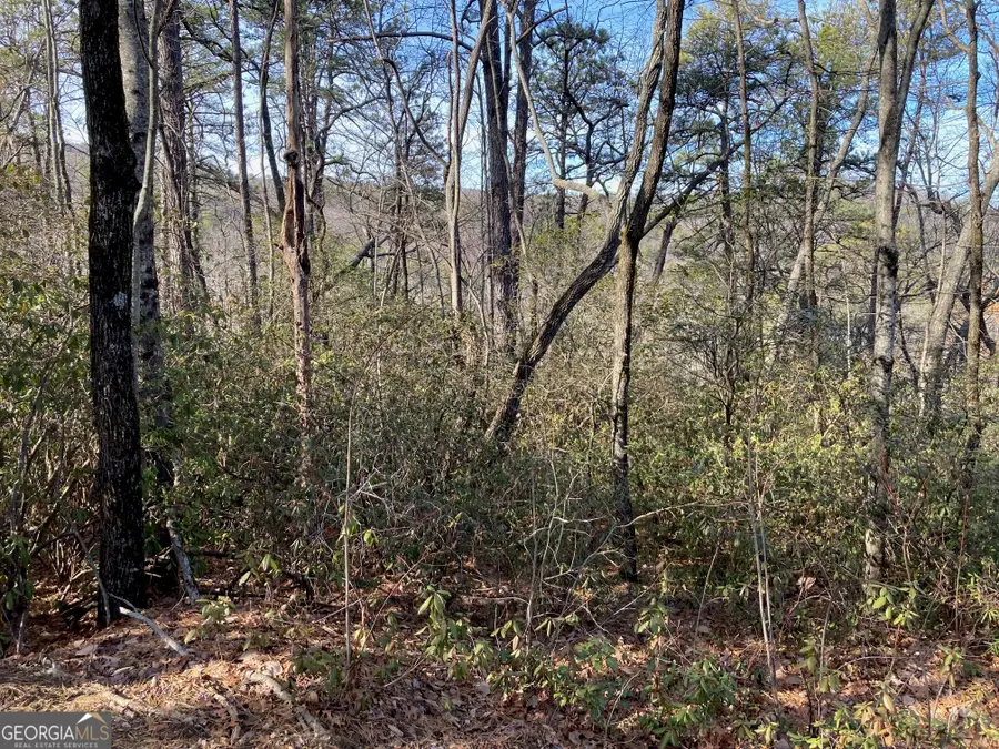 LOT 36 Whispering Dale Drive, Clarkesville, GA 30523 - Image #2