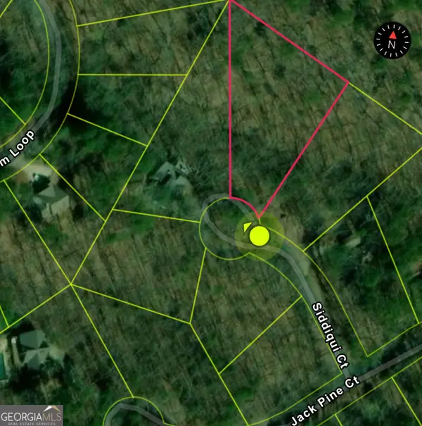 110 Siddiqui Court, Waleska, GA 30183