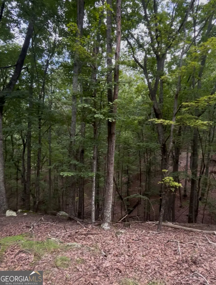 110 Siddiqui Court, Waleska, GA 30183 - Image #3