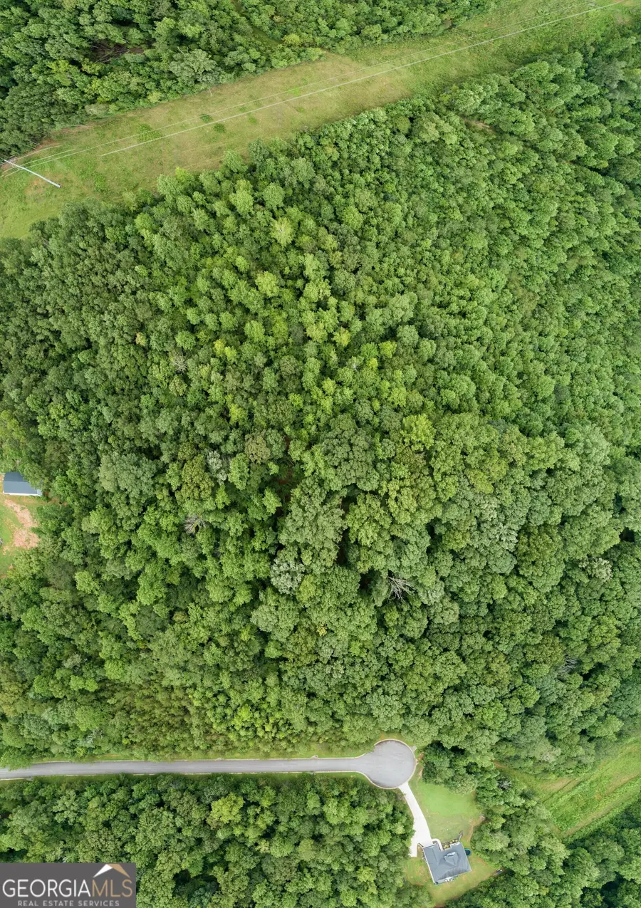 6275 Trojan Drive, Gainesville, GA 30506 - Image #3