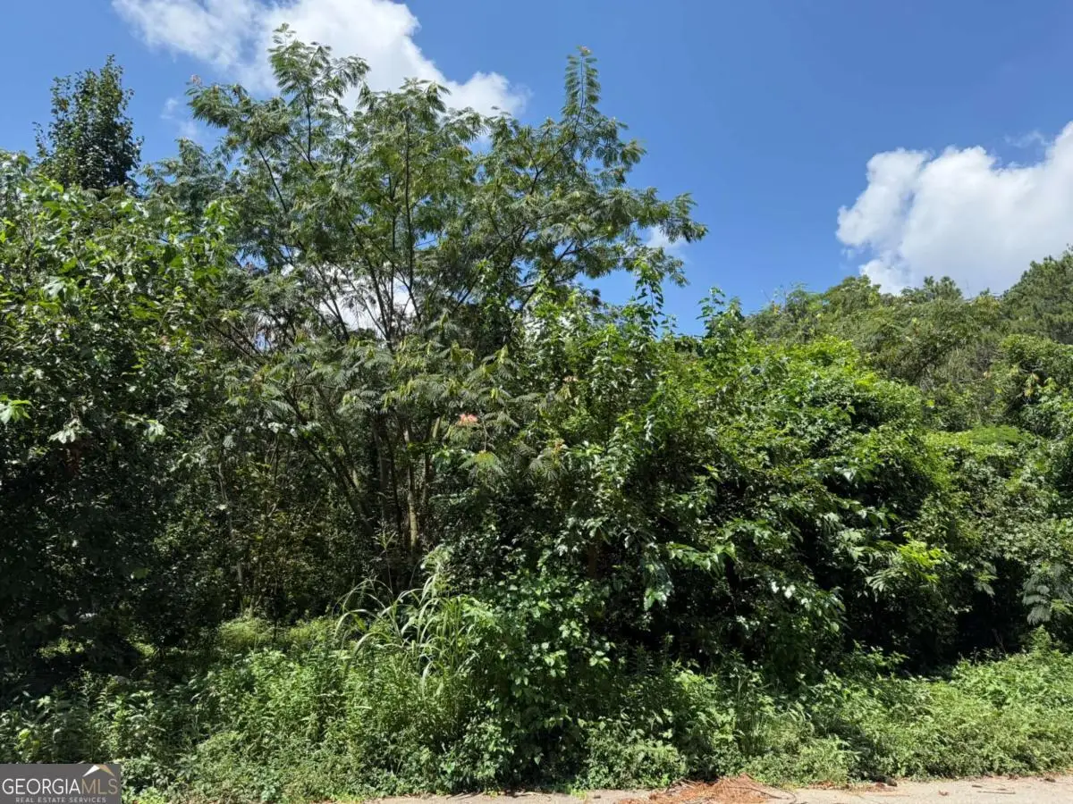 0 Beeler Drive Sw, Atlanta, GA 30315 - Image #1