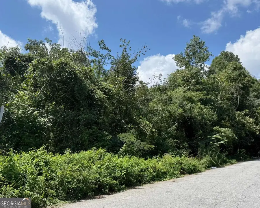 0 Beeler Drive Sw, Atlanta, GA 30315 - Image #3