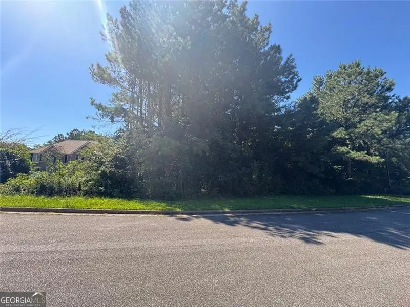 63 Hickory Creek Lane, Acworth, GA 30101 - Image #3