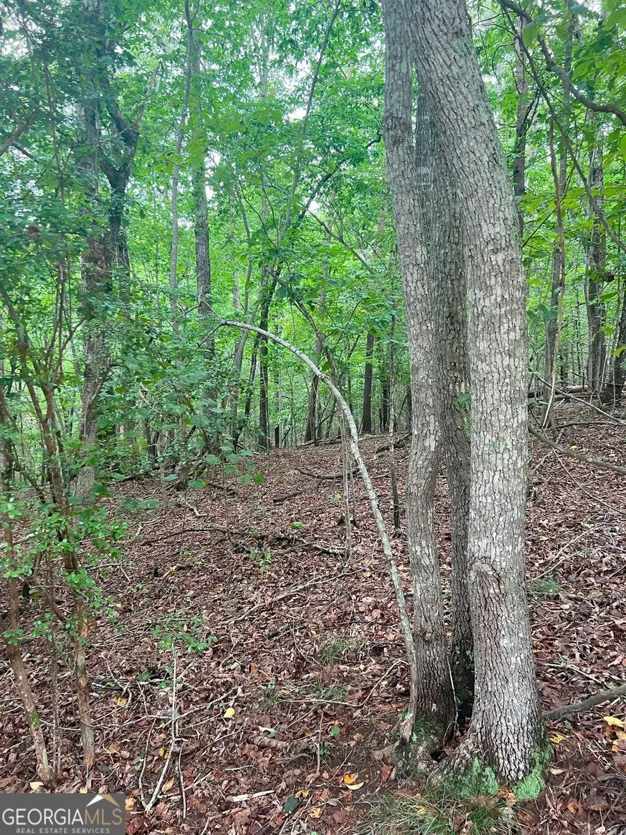 7620 Maple Place, Murrayville, GA 30564 - Image #2