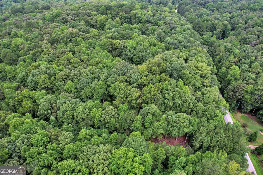 5287 Yeager Road, Douglasville, GA 30135 - Image #3