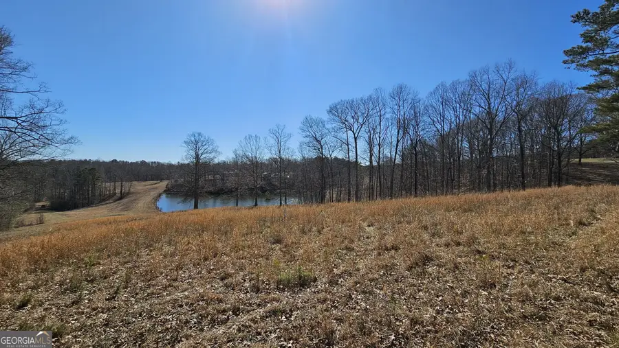 LOT 1 Snote Jones Road, Dallas, GA 30132 - Image #3