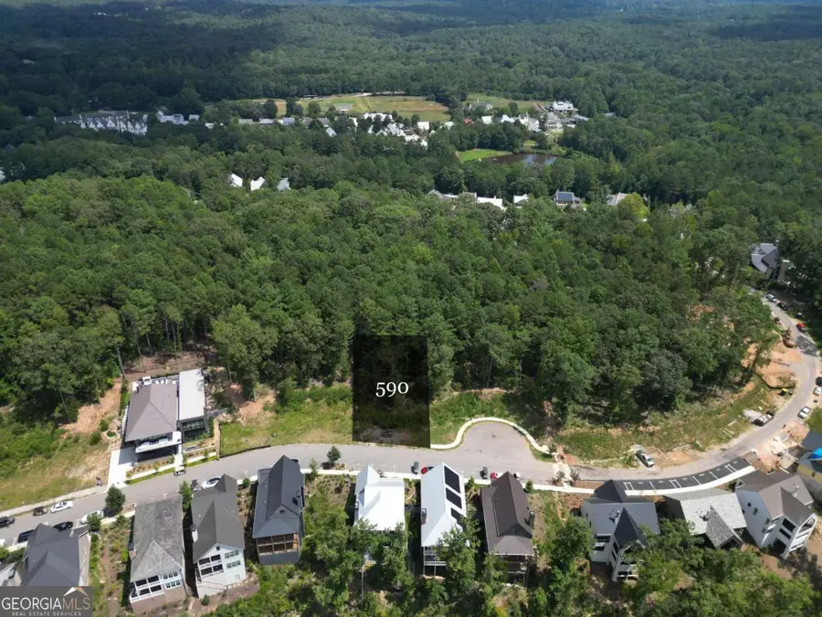 1101 Lupo Loop, Chattahoochee Hills, GA 30268 - Image #2