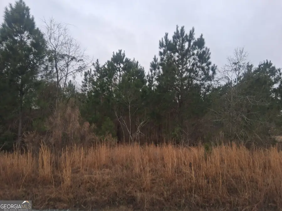 LOT 5 Bowen Drive, Eastman, GA 31023 - #2