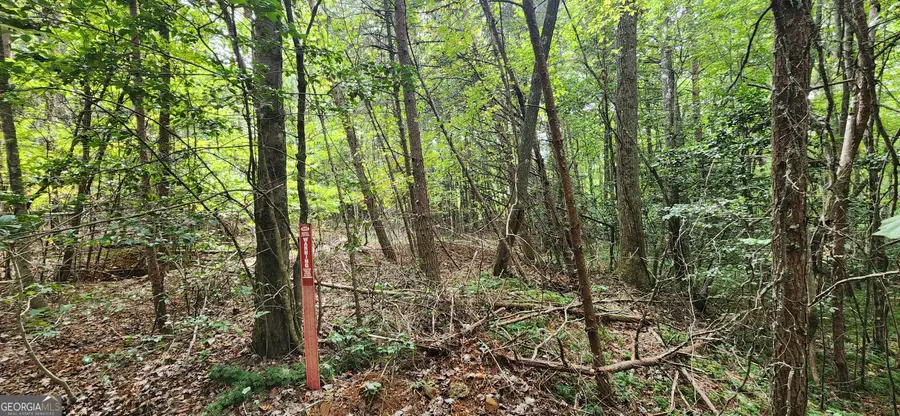 #3