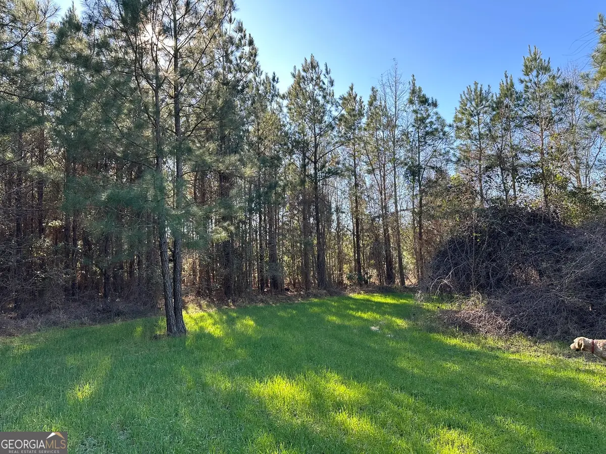 012 Mt Zion Road, Gordon, AL 36343 - Image #1