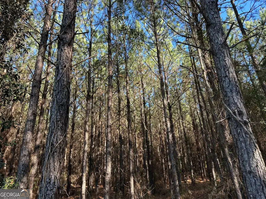 012 Mt Zion Road, Gordon, AL 36343 - Image #3