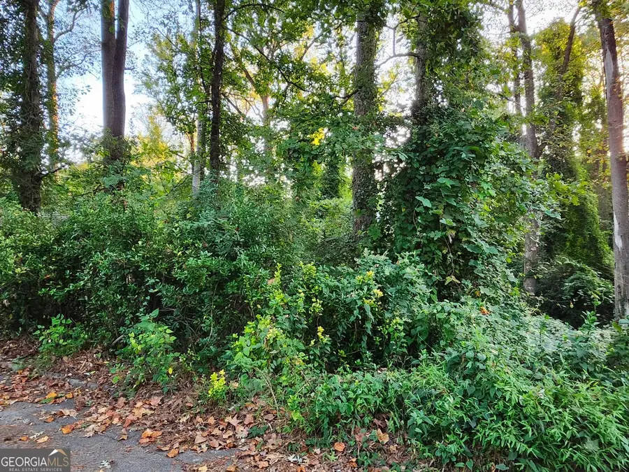 523 Spruce Drive, Pine Lake, GA 30072 - Image #3