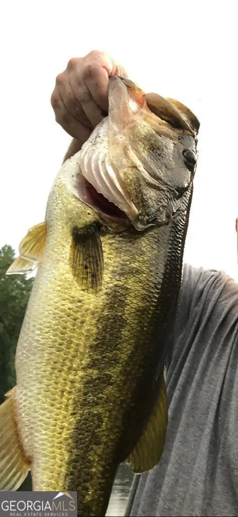 #2