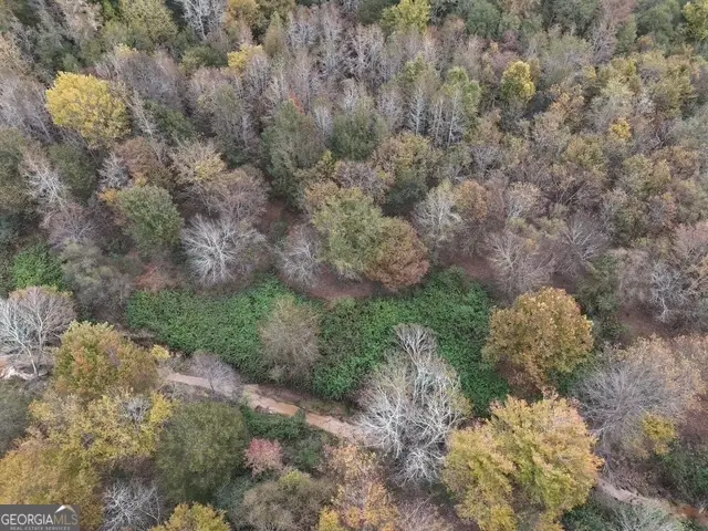 0 Washington Road, Lexington, GA 30648 - Image #2