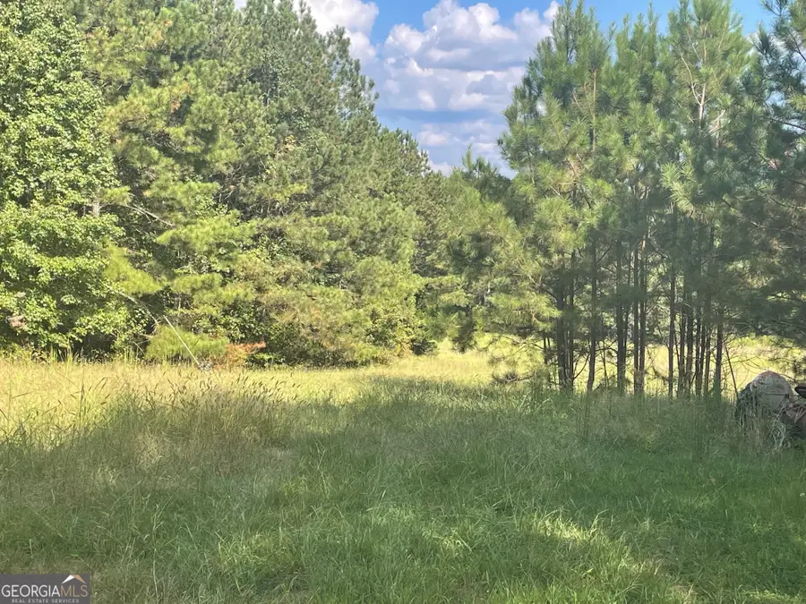 0 Washington Road, Lexington, GA 30648 - Image #3