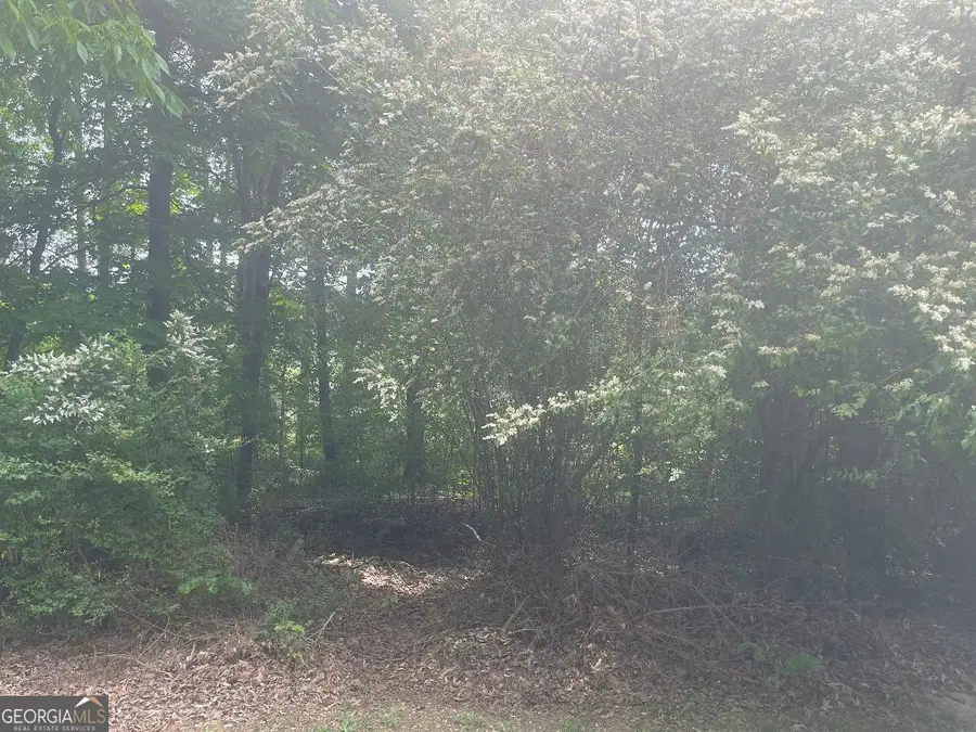 0 Curtis Circle, Calhoun, GA 30701 - Image #3