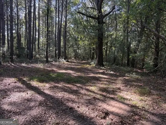 0 Old Esom Hill Loop, Cedartown, GA 30125 - Image #3
