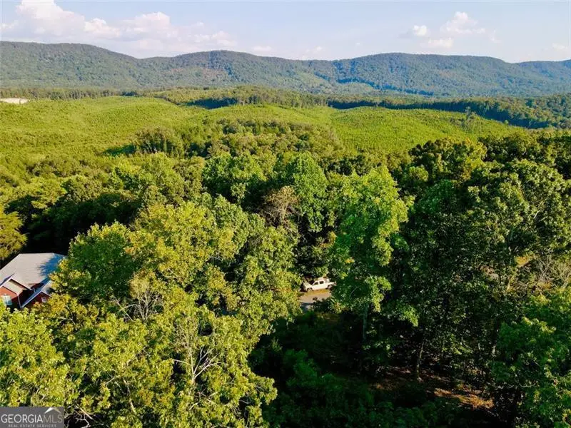 98 Magnolia, Summerville, GA 30747 - Image #3