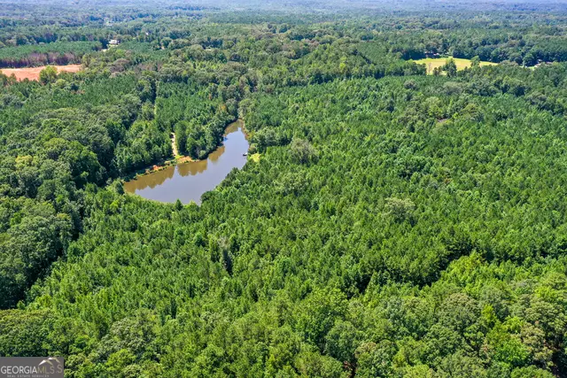 0 & 1206 Macedonia Road, Newnan, GA 30263 - Image #2