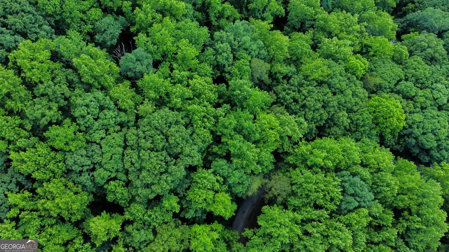 LT J349 Mountain View Court, Ellijay, GA 30540 - Image #3