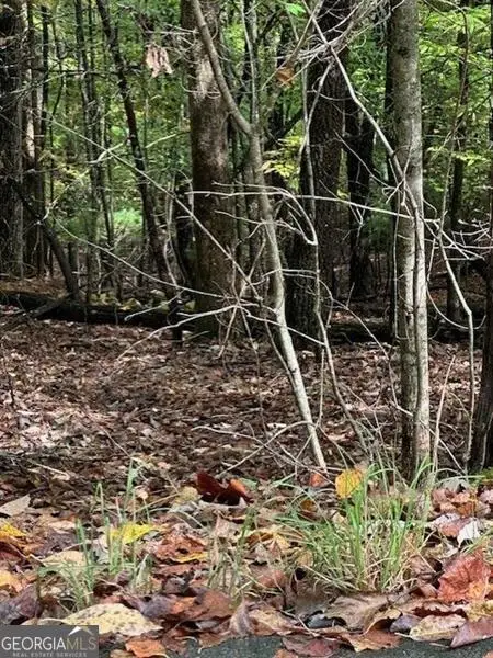 0 Brumby Run, Blairsville, GA 30512 - Image #3