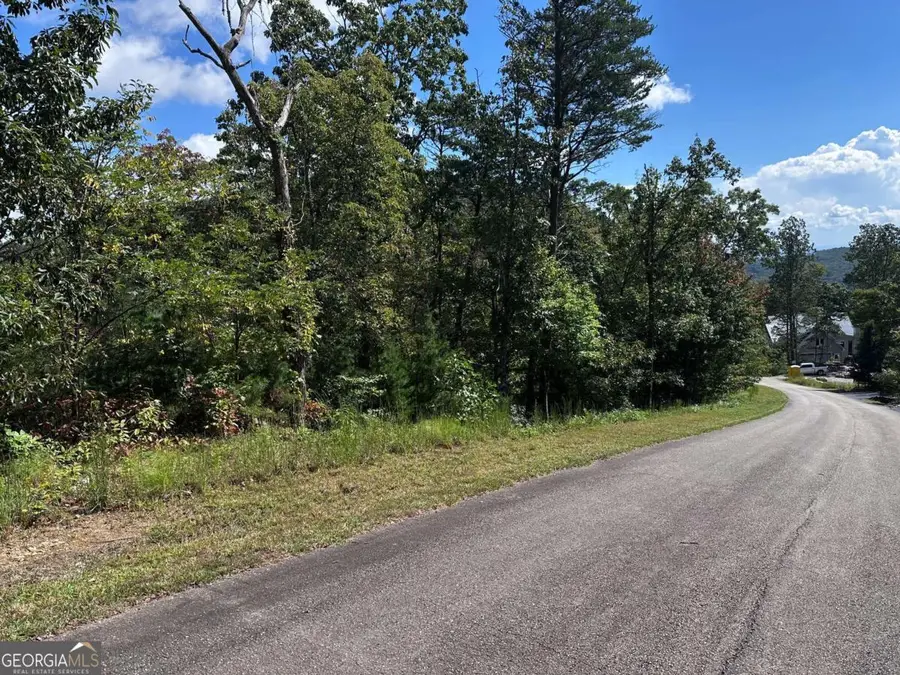 234 Stone Cliff Drive, Ellijay, GA 30536 - Image #2