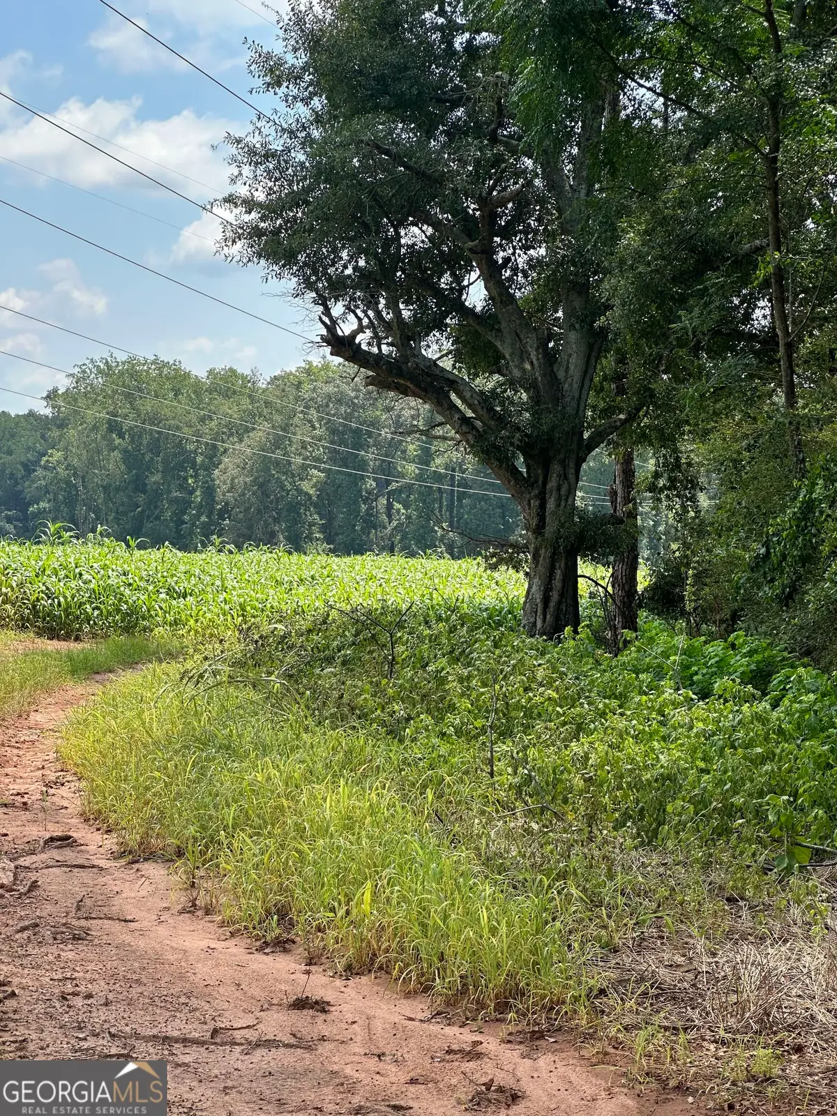 1981 A Broughton Road, Newborn, GA 30056 - Image #1