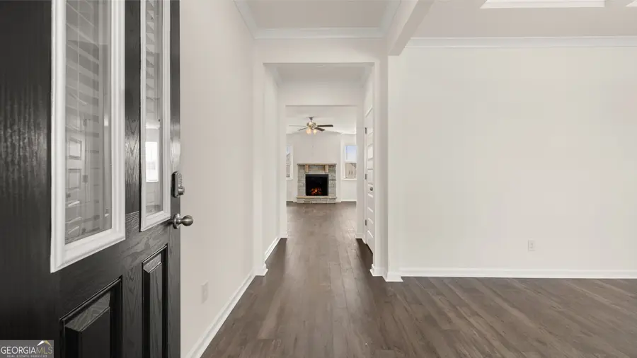 295 Staffin Drive, Senoia, GA 30276 - Image #3