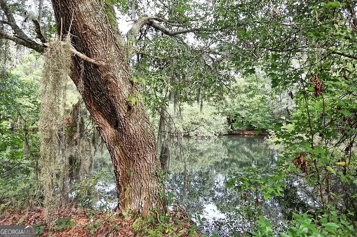 181 Burton Road, Savannah, GA 31405 - Image #1