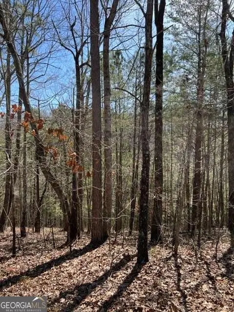 #3