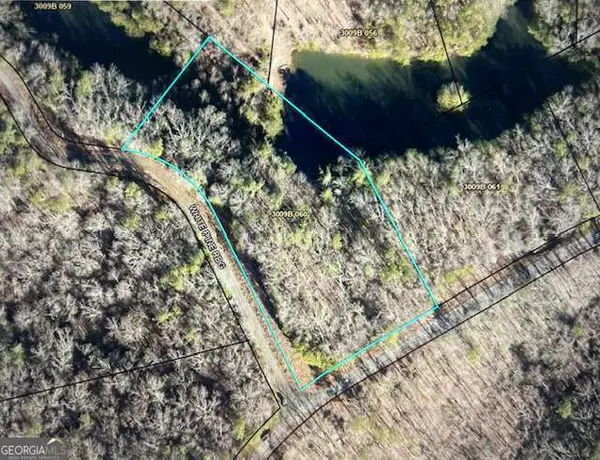 LT 50 White Pine Ridge, Ellijay, GA 30540