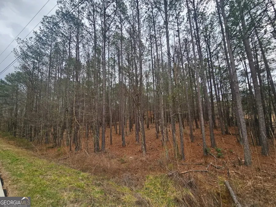 0 Newton Factory Bridge Road, Covington, GA 30014 - #2