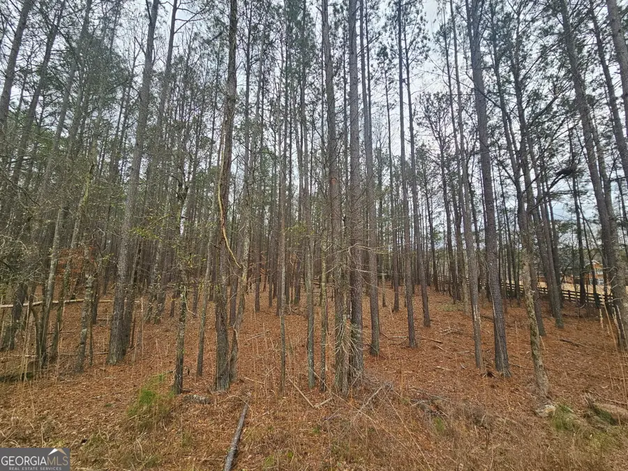 0 Newton Factory Bridge Road, Covington, GA 30014 - #3