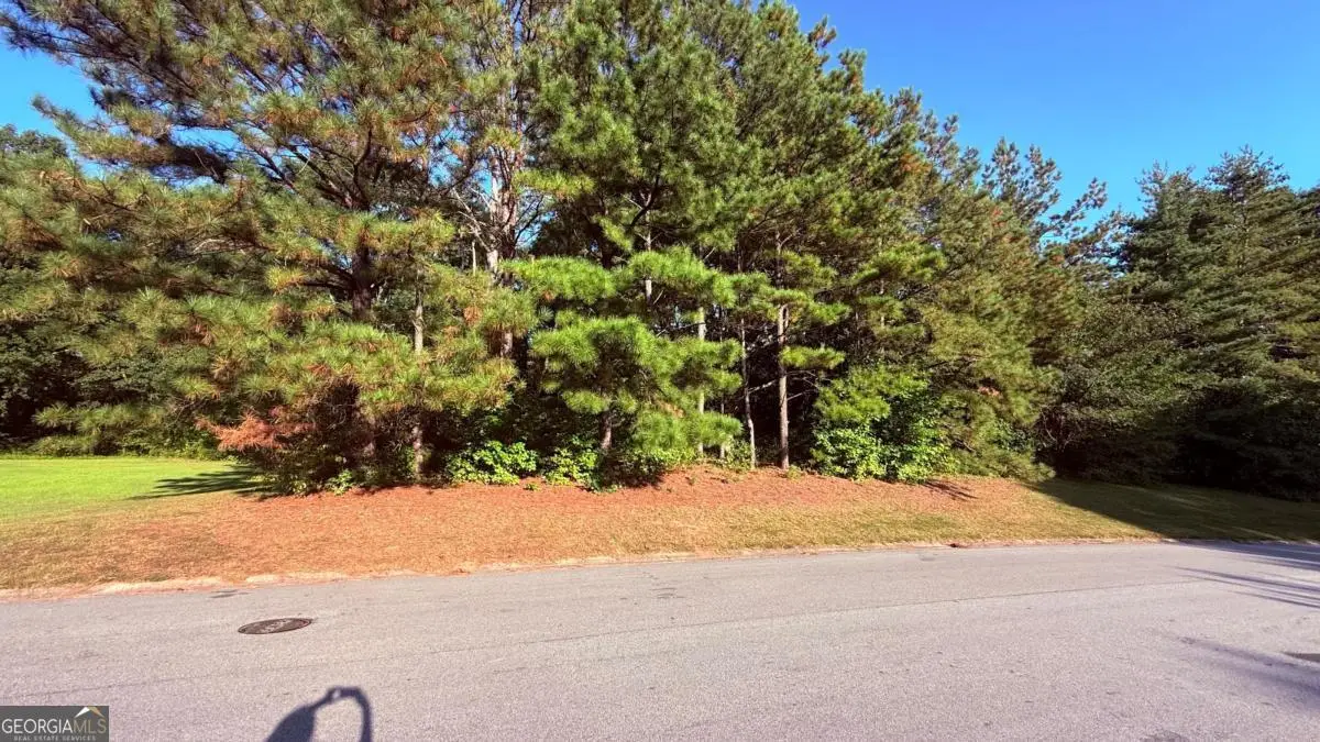 49 Fireside Way, Fairburn, GA 30213 - #1