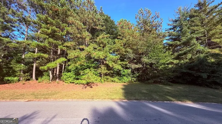 49 Fireside Way, Fairburn, GA 30213 - #3