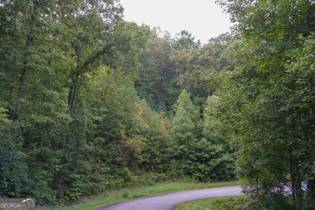 0 Heavenly Circle, Clayton, GA 30525 - #2