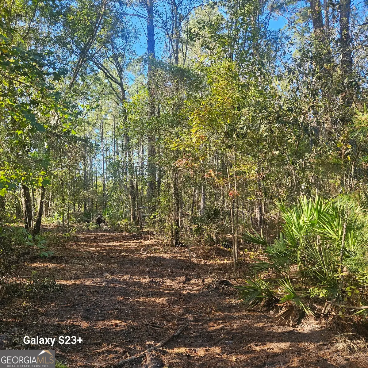 0 Highway 67, Pembroke, GA 31321 - #1