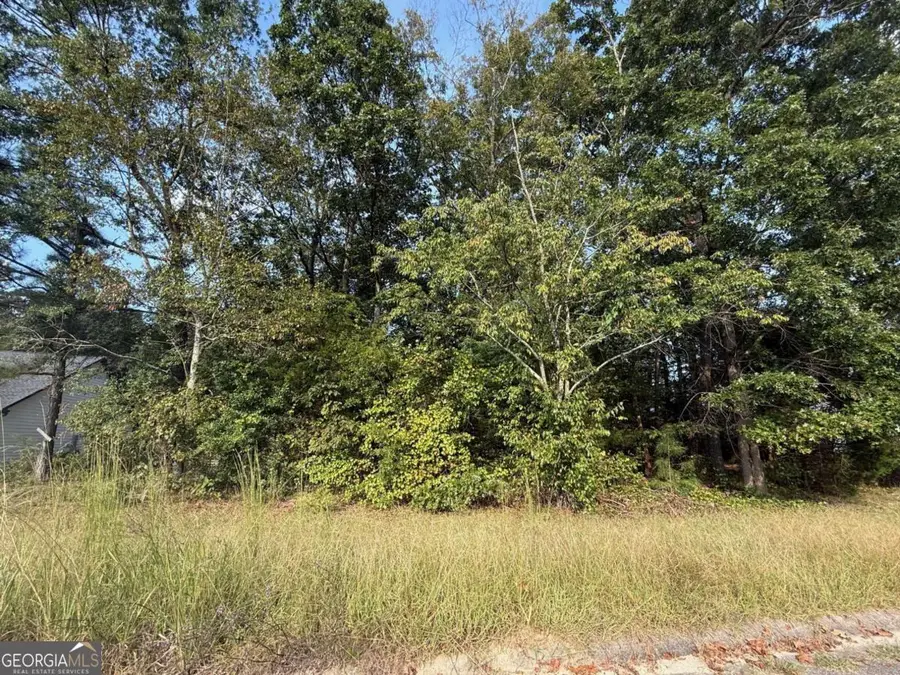 0 Live Oak Lane #LOT 3, Comer, GA 30629 - Image #2