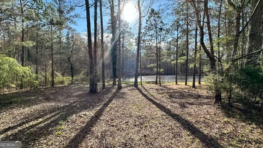 10861 Hutcheson Ferry Road, Chattahoochee Hills, GA 30268 - Image #2