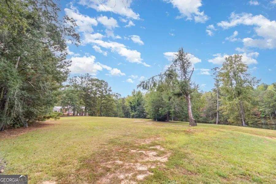 10861 Hutcheson Ferry Road, Chattahoochee Hills, GA 30268 - Image #3