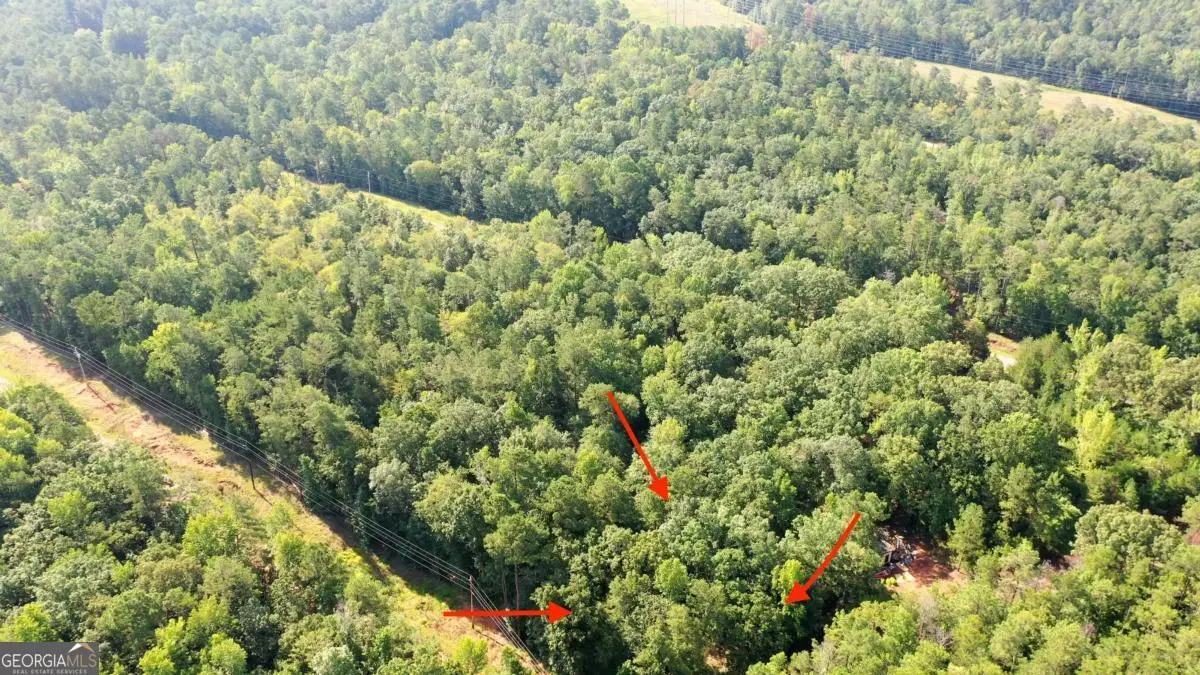 237 Anthems Drive, Sparta, GA 31087 - Image #1