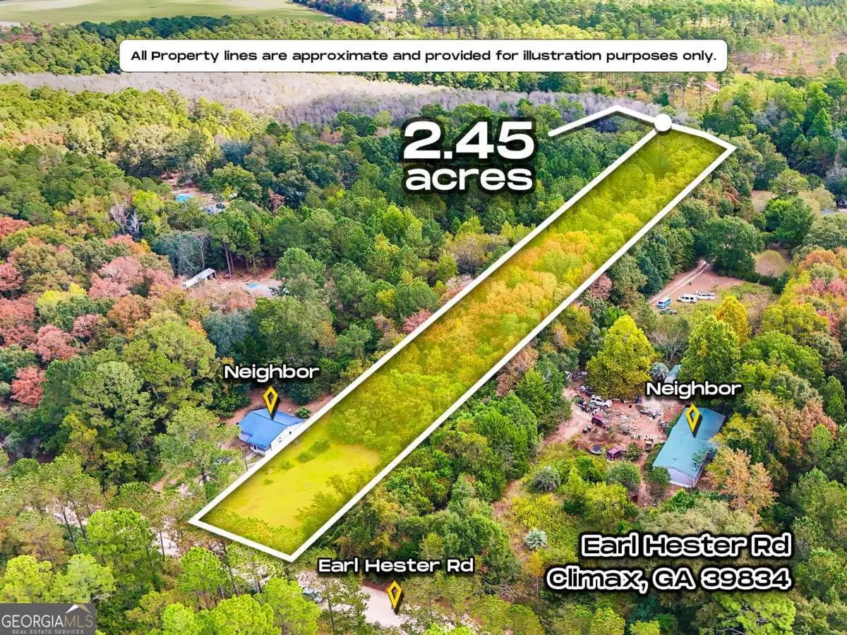 0 Earl Hester Road, Climax, GA 39834 - Image #1